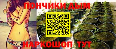 2c-b Кингисепп