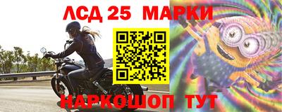 2c-b Кингисепп