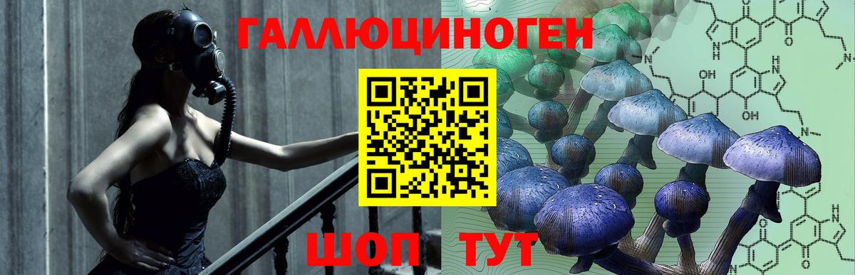 Чернушка  Псилоцибиновые грибы Magic Shrooms  Галлюциногенные грибы GOLDEN TEACHER  Вход с VPN 